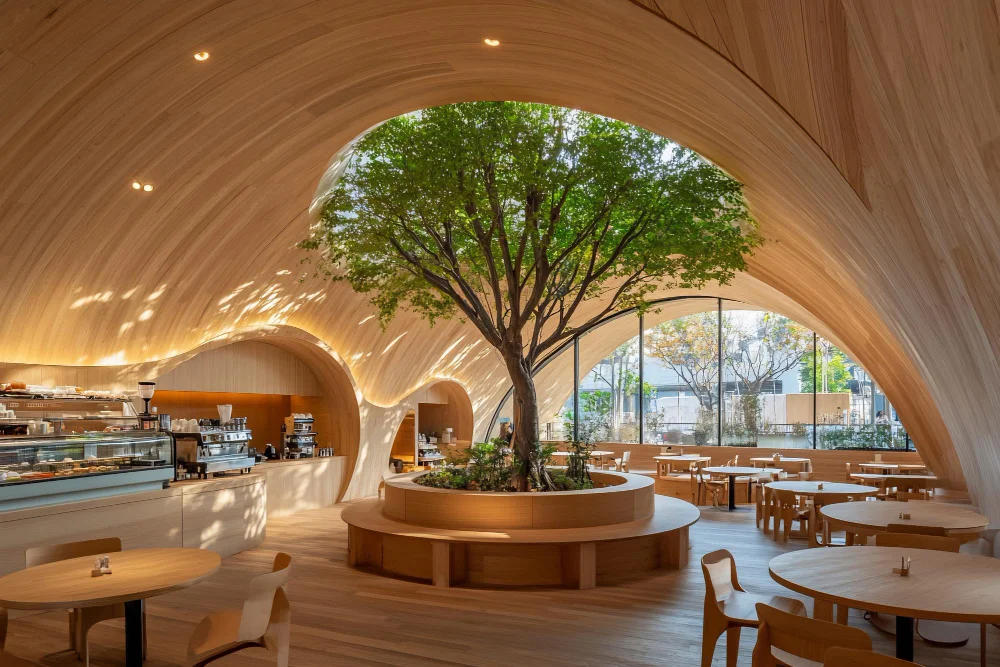 คาเฟ่แนว Biophilic Freeform